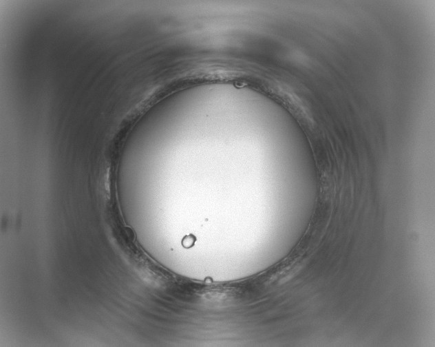 X0000073870358200608312058