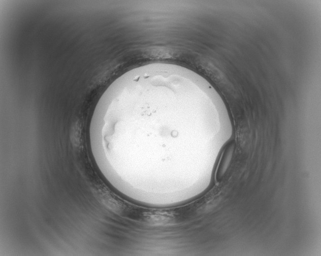 X0000073870359200608312058