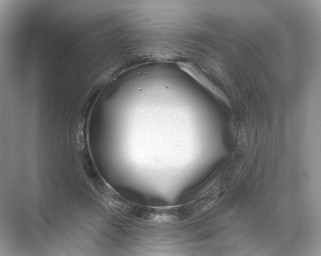 X0000073870360200608312058