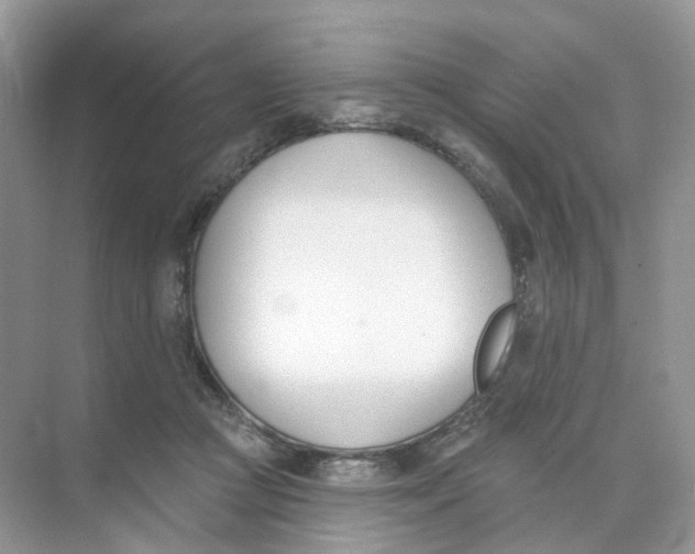 X0000073870361200608312058