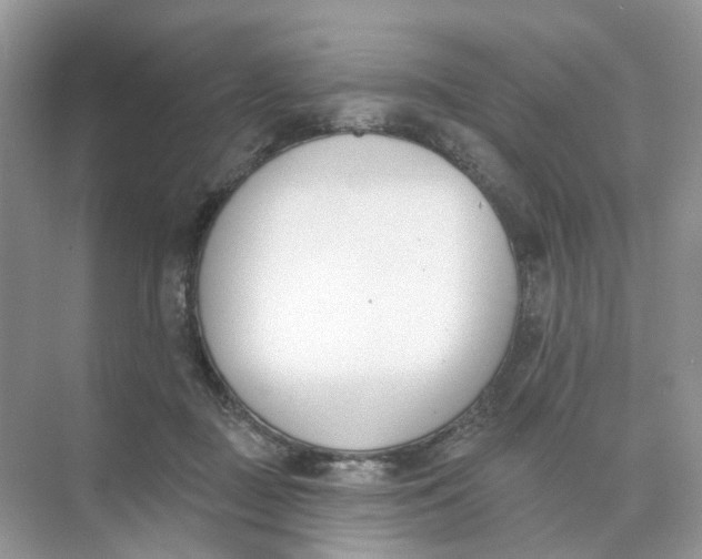 X0000073870363200608312058