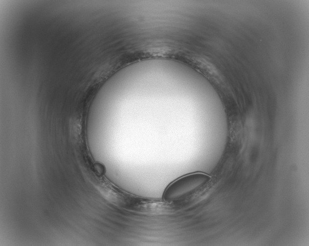 X0000073870365200608312058