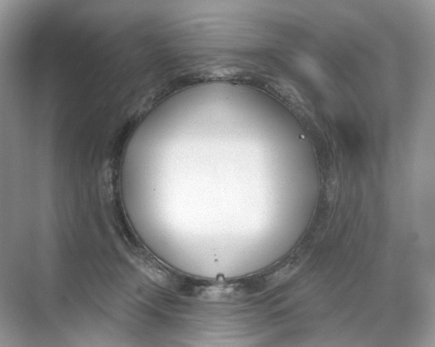 X0000073870366200608312058