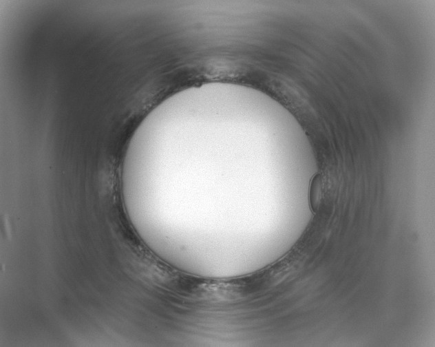 X0000073870367200608312058