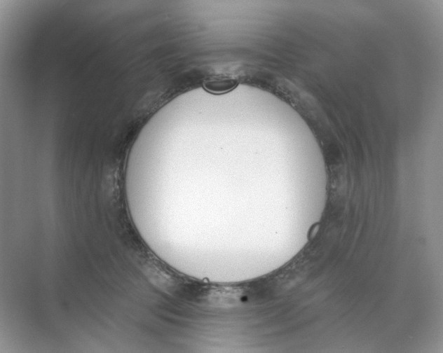 X0000073870369200608312059