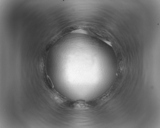 X0000073870372200608312059