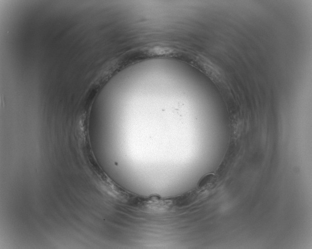 X0000073870373200608312059