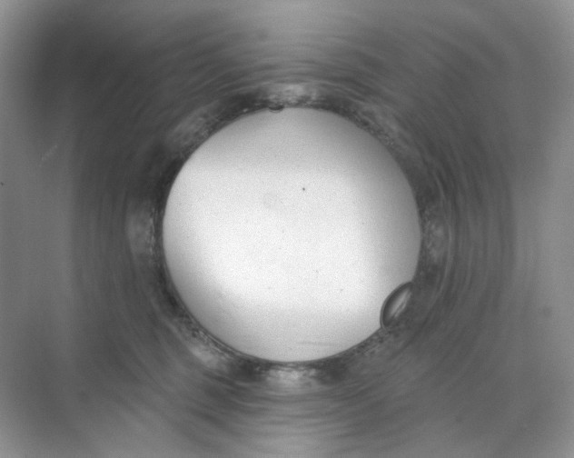 X0000073870375200608312059