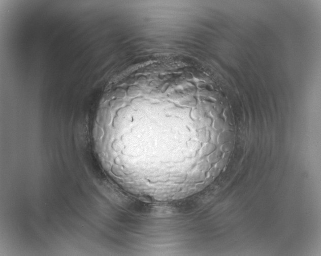 X0000073870376200608312059