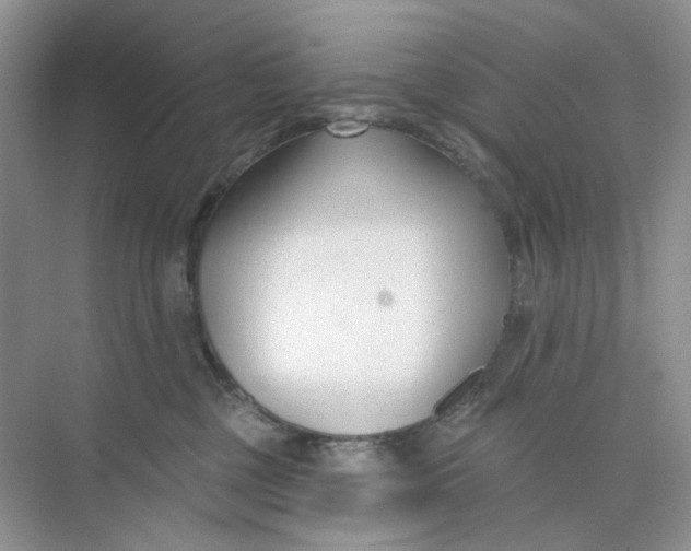 X0000073870377200608312059