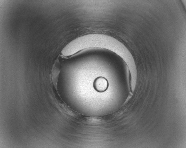 X0000073870380200608312059