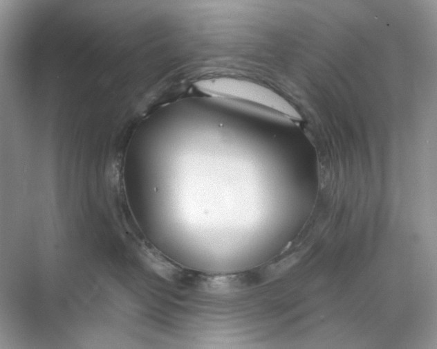 X0000073870382200608312059