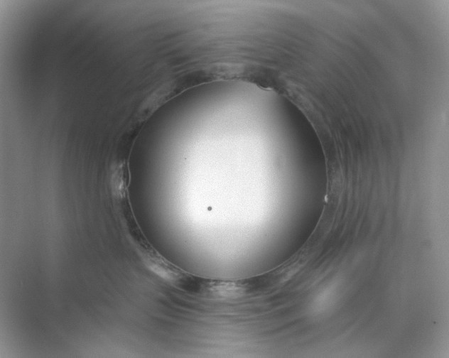 X0000073870383200608312059