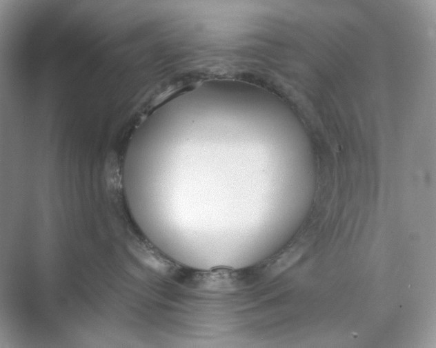 X0000073870384200608312059