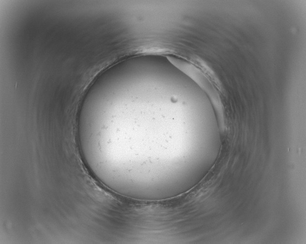 X0000073870385200608312058