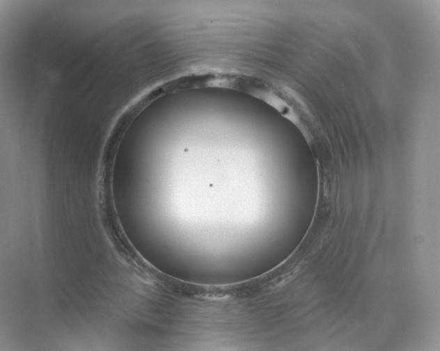 X0000073870388200608312058