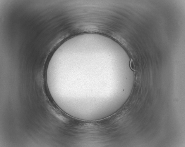 X0000073870390200608312058