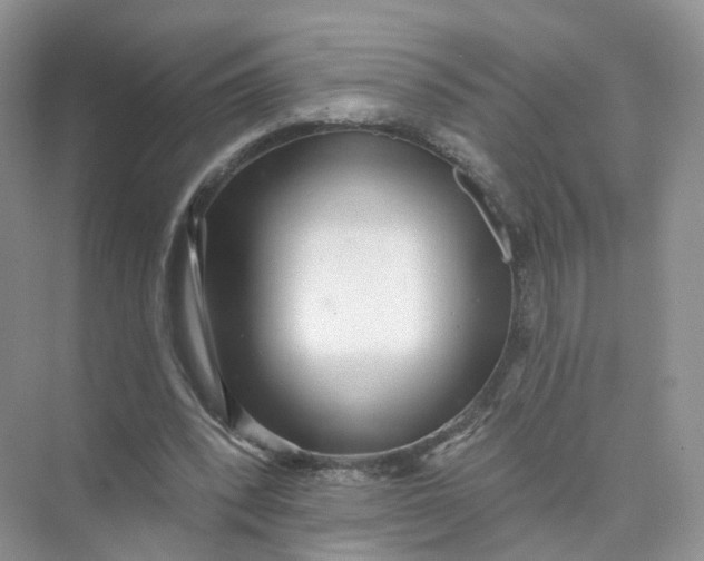 X0000073870392200608312058