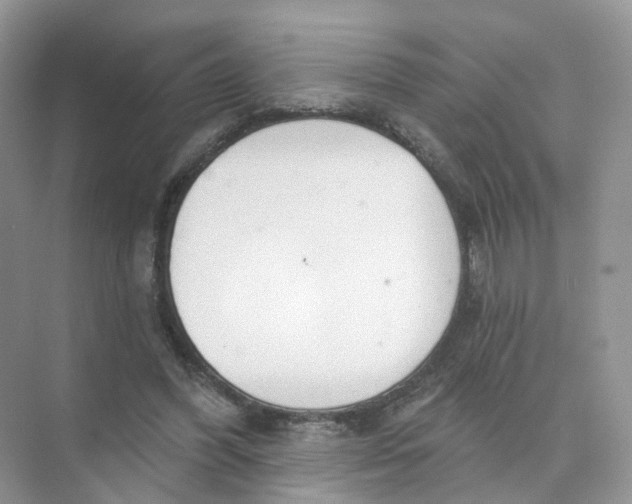 X0000073870396200608312058