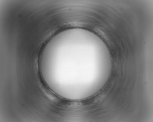 X0000073870398200608312058