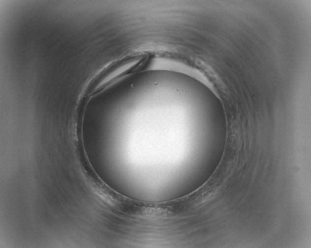 X0000073870399200608312058