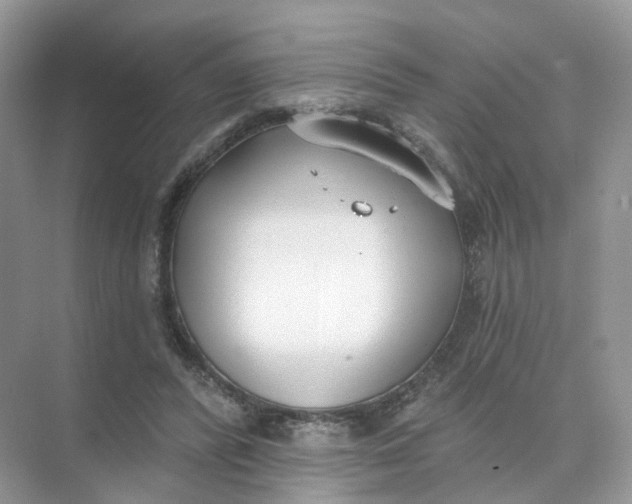 X0000073870400200608312058