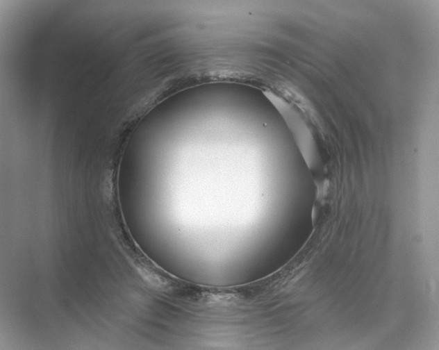 X0000073870401200608312058