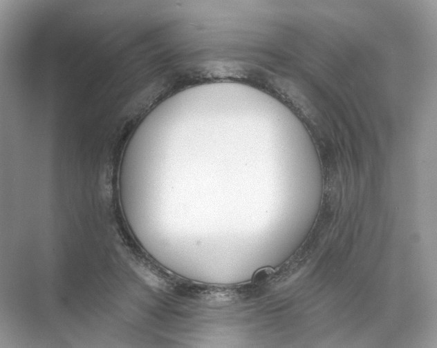 X0000073870402200608312058