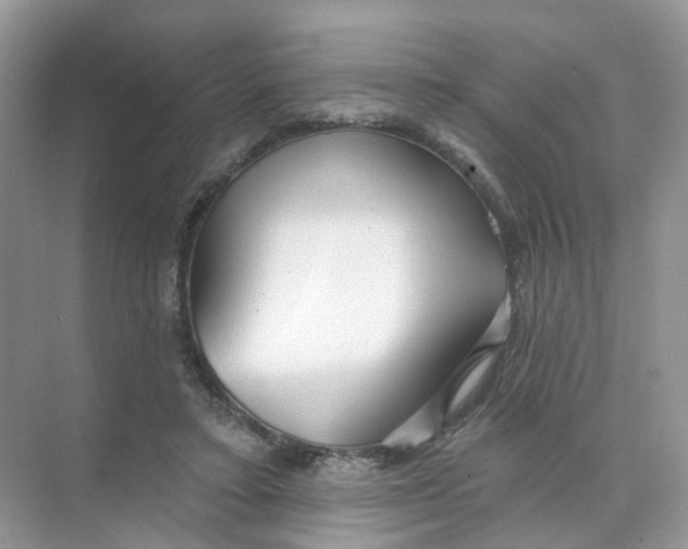 X0000073870403200608312058