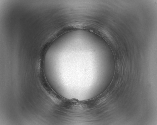 X0000073870404200608312058