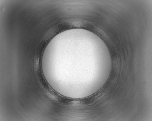 X0000073870406200608312058