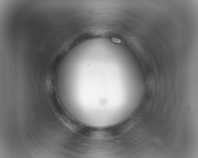 X0000073870408200608312058