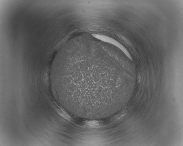 X0000073870409200608312058