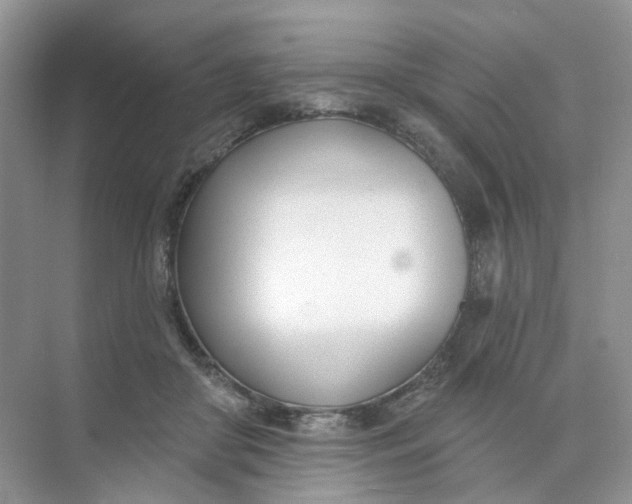 X0000073870410200608312058