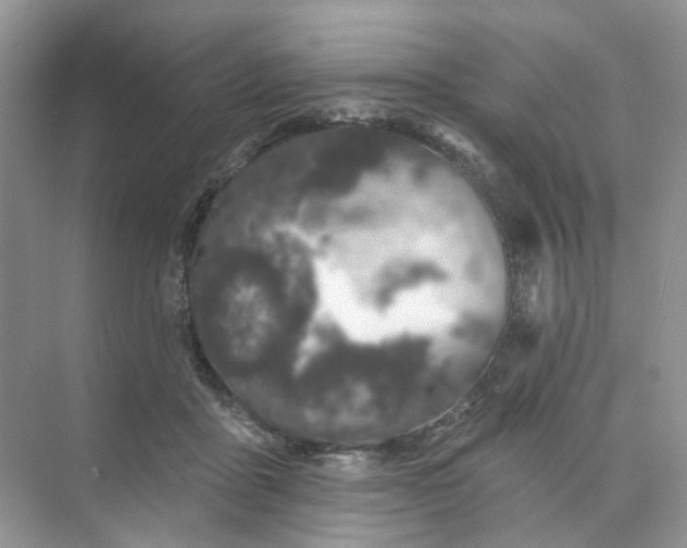 X0000073870411200608312058