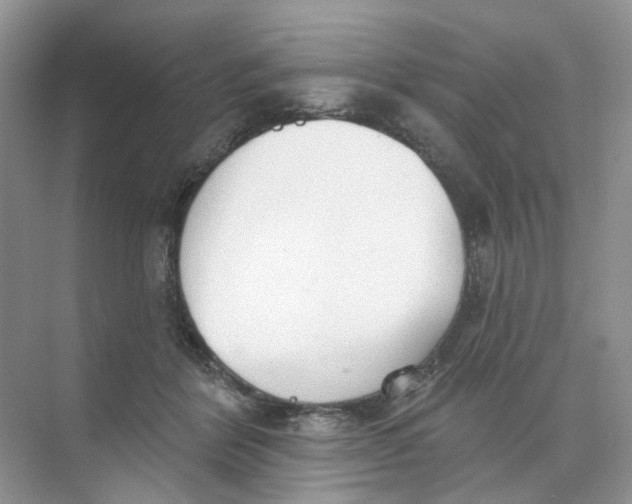 X0000073870412200608312058