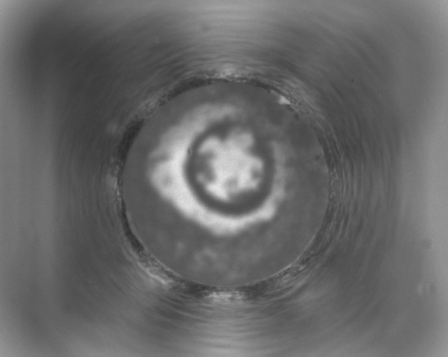 X0000073870415200608312057