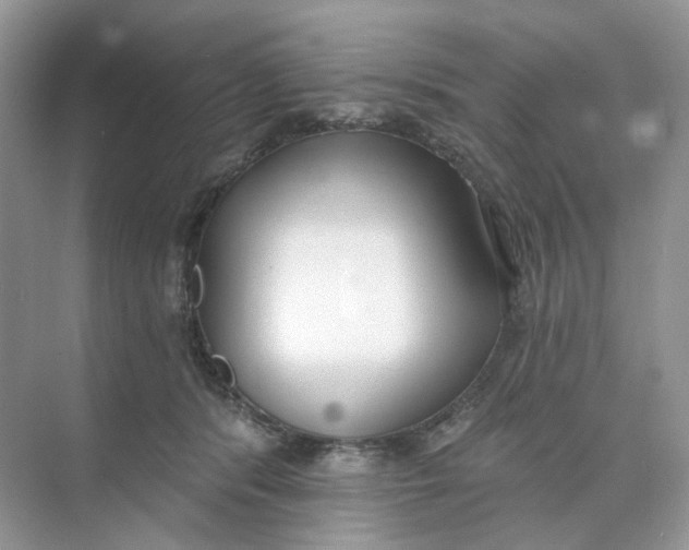 X0000073870416200608312057