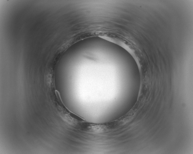 X0000073870417200608312057