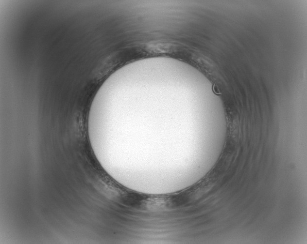 X0000073870418200608312057