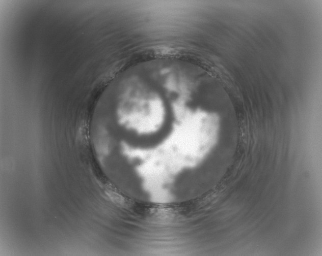 X0000073870419200608312057