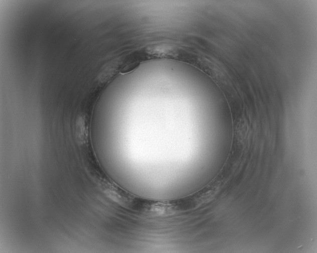 X0000073870420200608312057