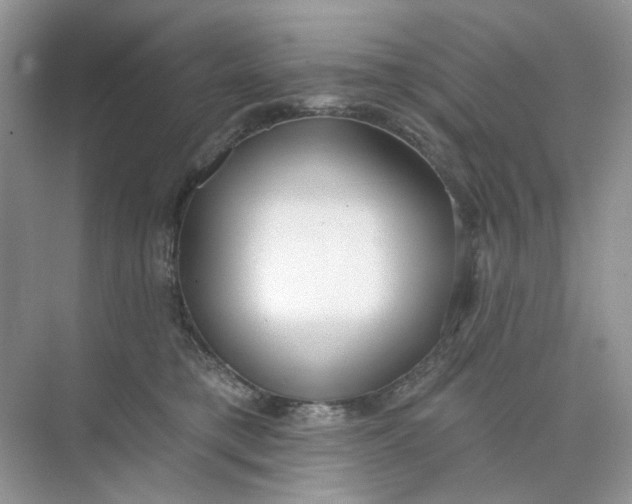 X0000073870421200608312057