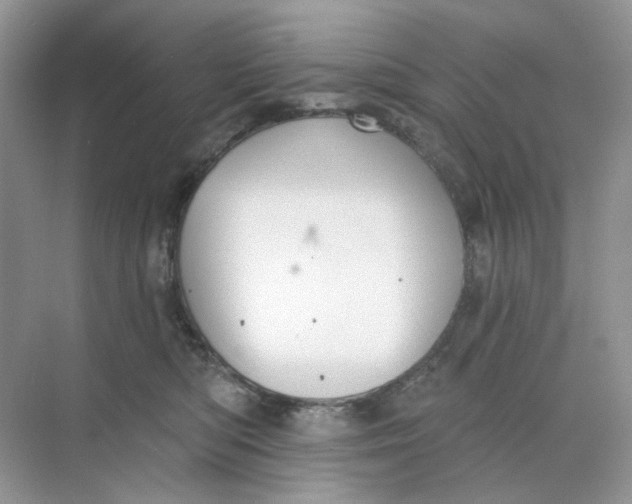 X0000073870422200608312057