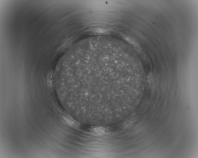 X0000073870423200608312057