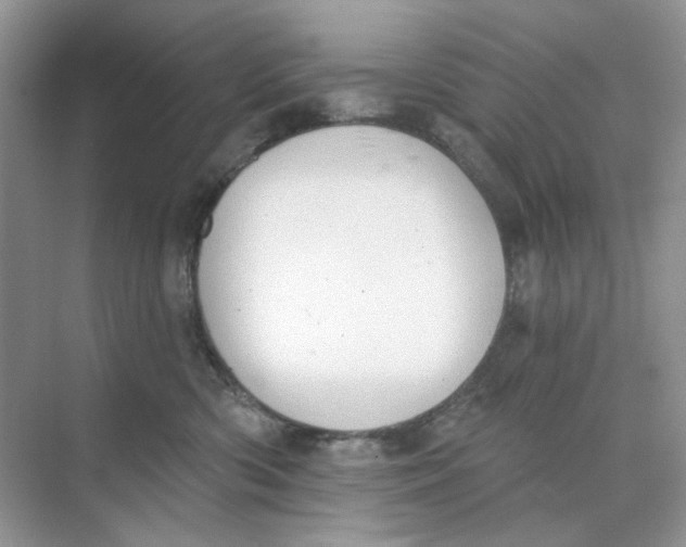 X0000073870426200608312057