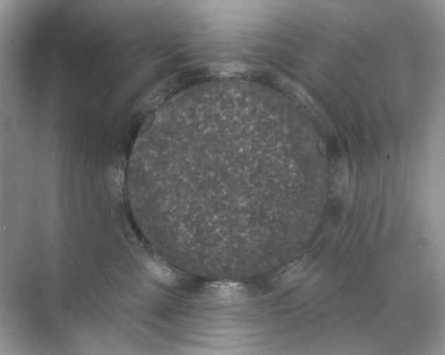 X0000073870427200608312057