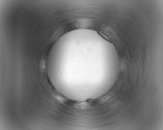 X0000073870431200608312057