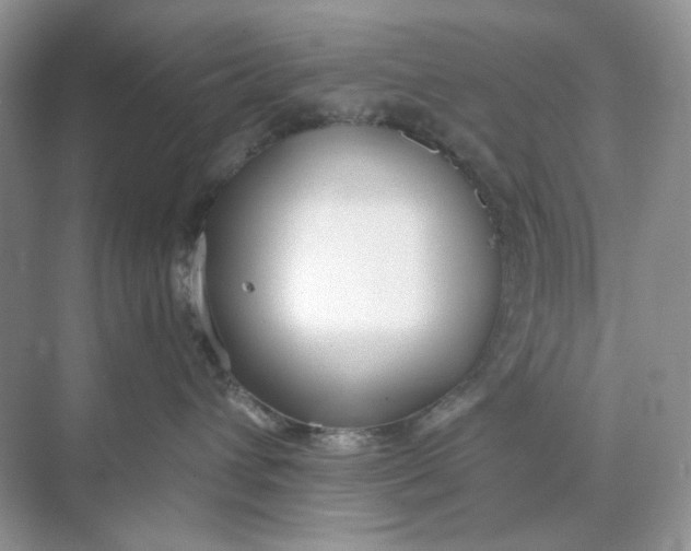 X0000073870432200608312057