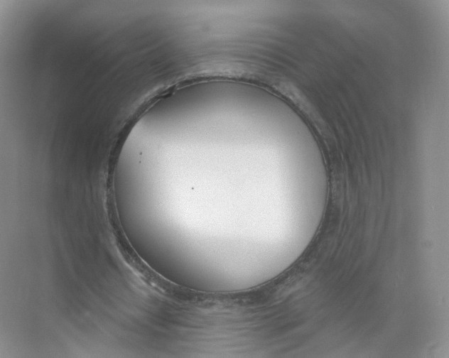 X0000073870434200608312056